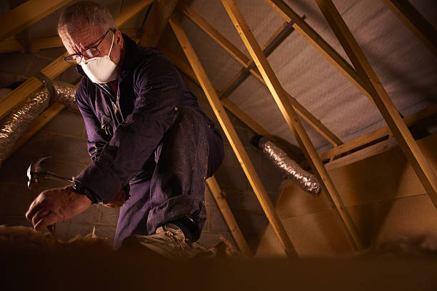 Best Eco-Friendly Insulation in Goldsby, OK
